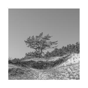 国产桃色无码视频
